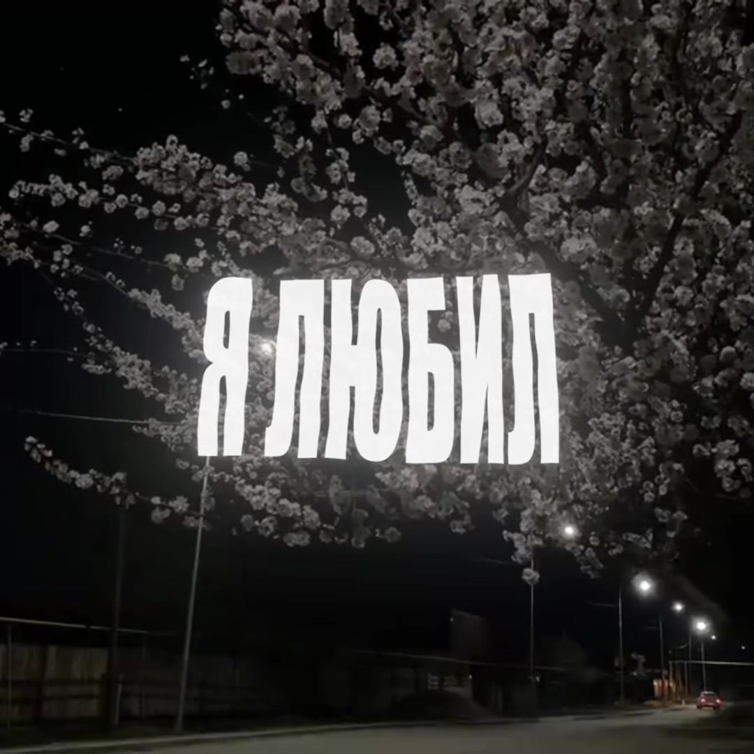 @динзик🤍| ディン