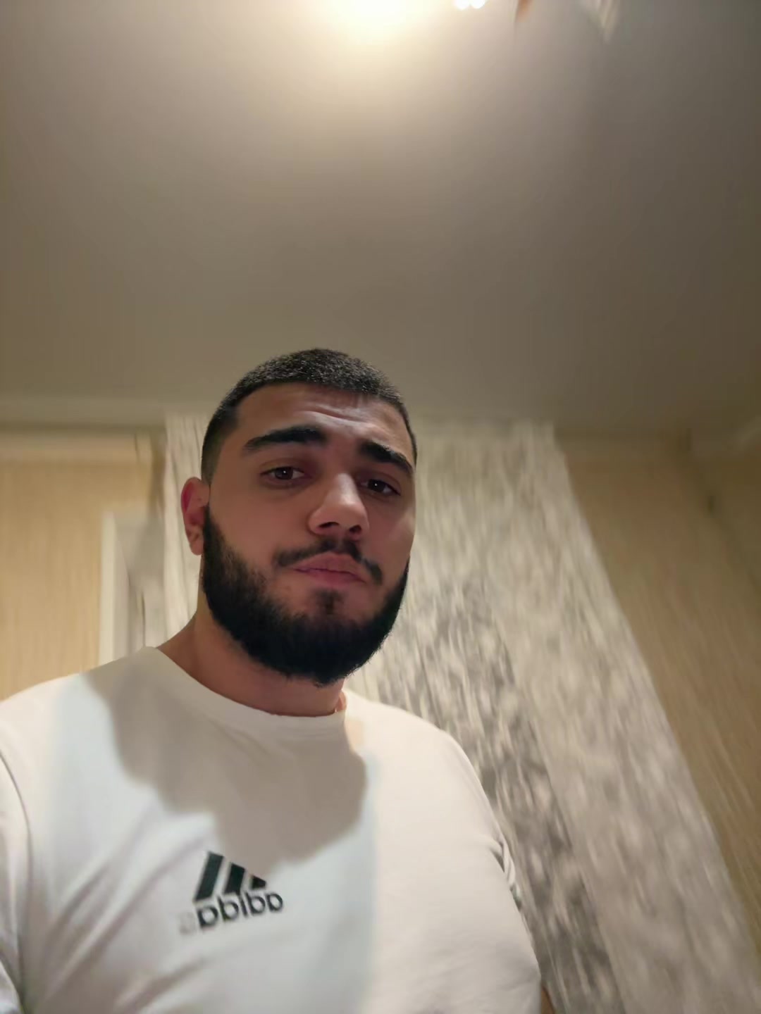 @armdyarm0