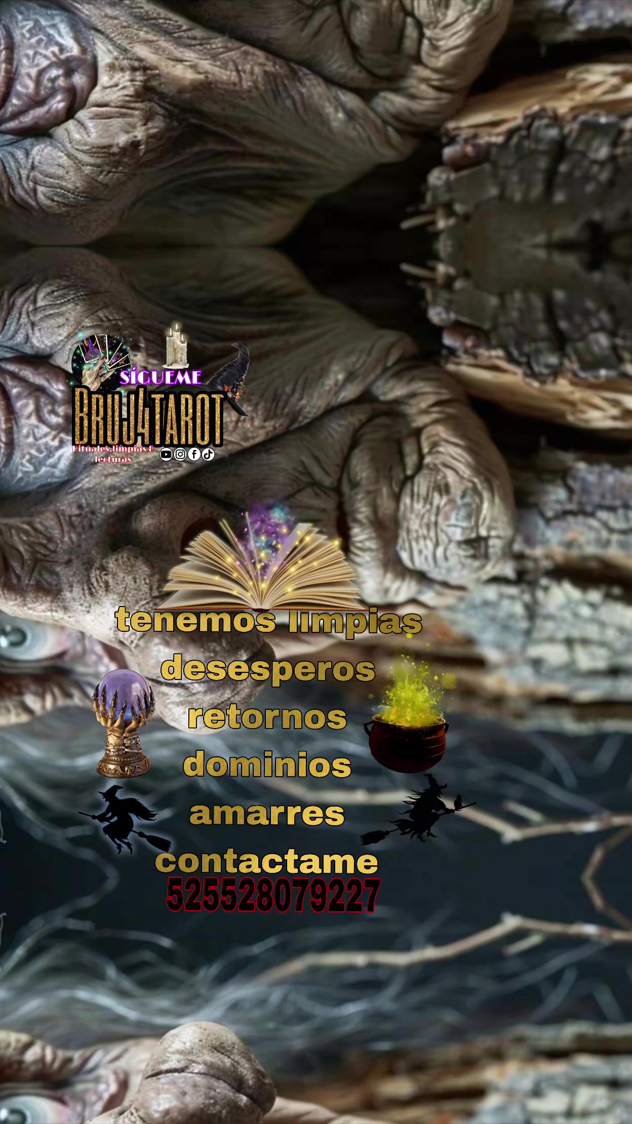@bruj4tarot