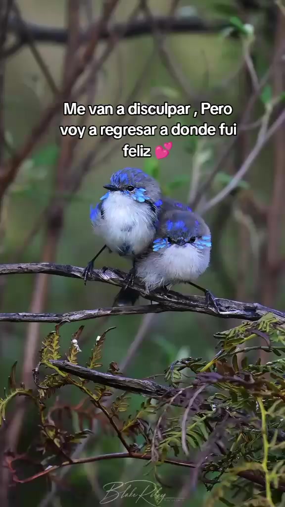 @𝒯𝒶𝓉𝓎  &hearts;️🌻