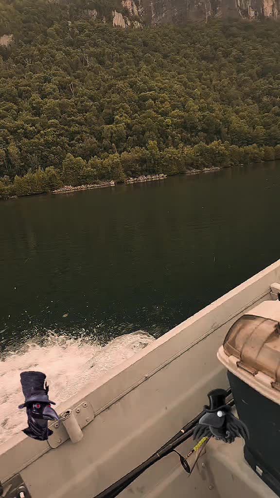 @rj