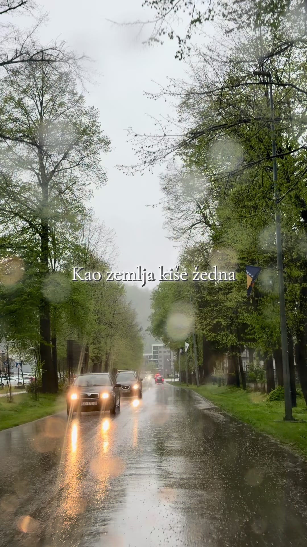 @Rijad Pajic