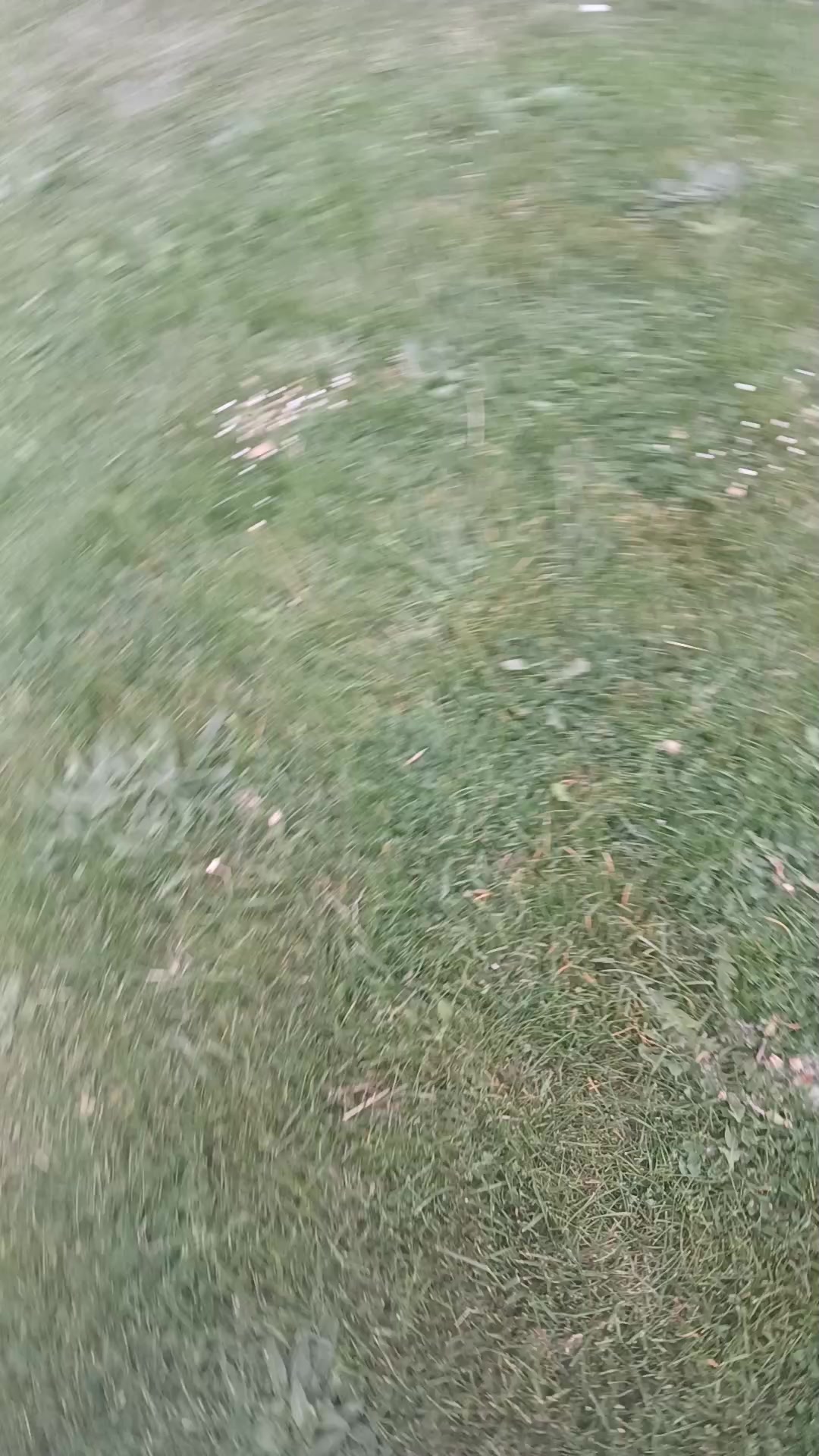 @1