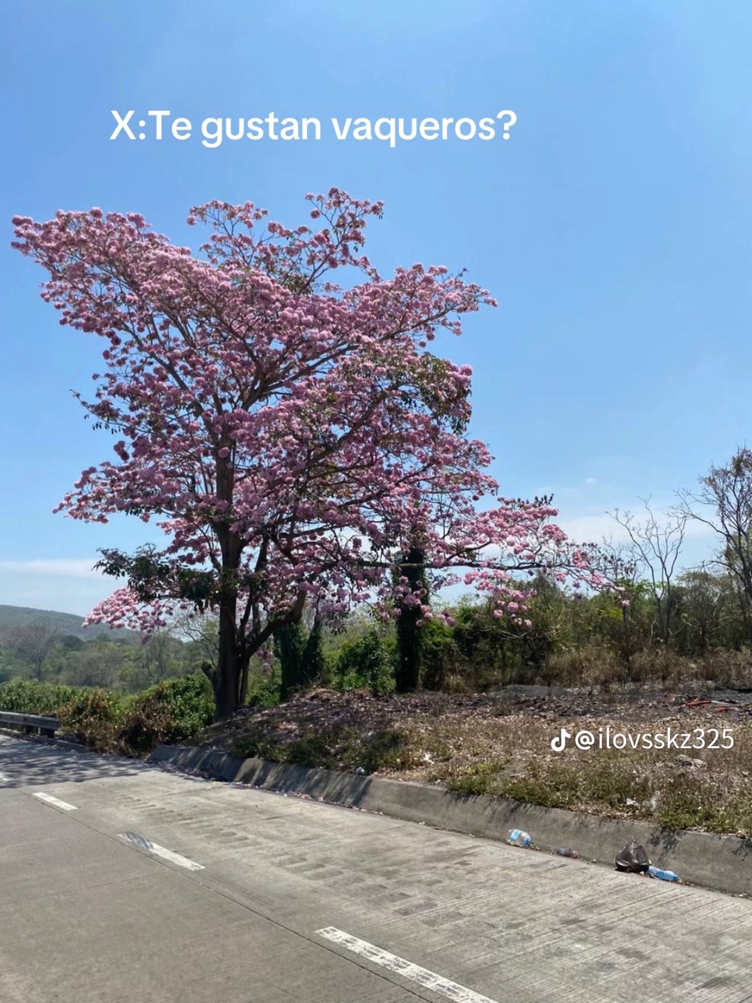 @Jessica 🌺🩷🌹🌸🌷🇬🇹