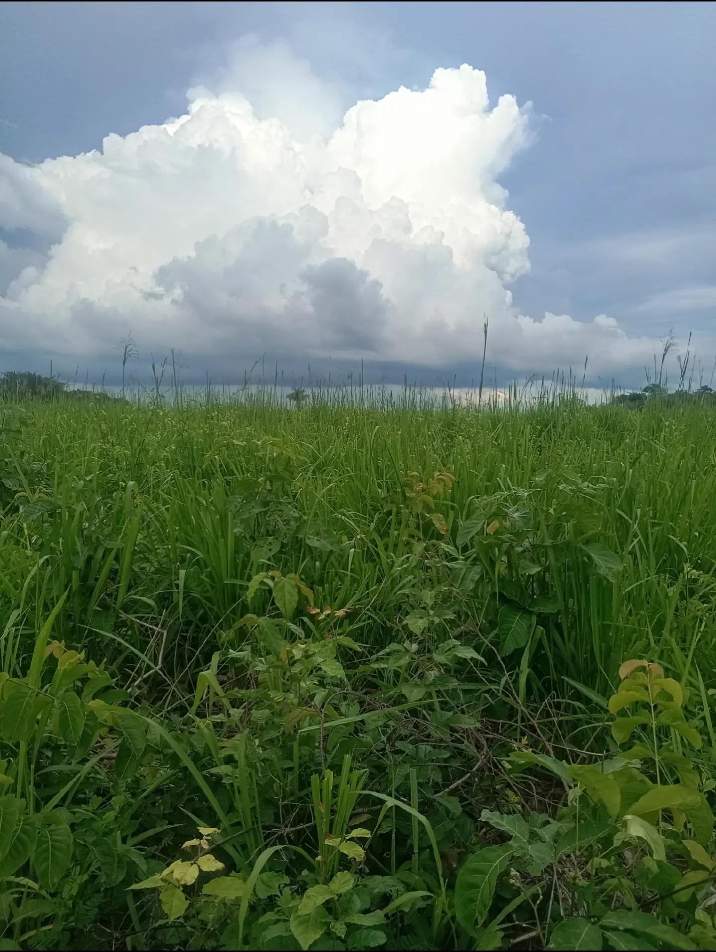 @Kau&atilde; Gabriel
