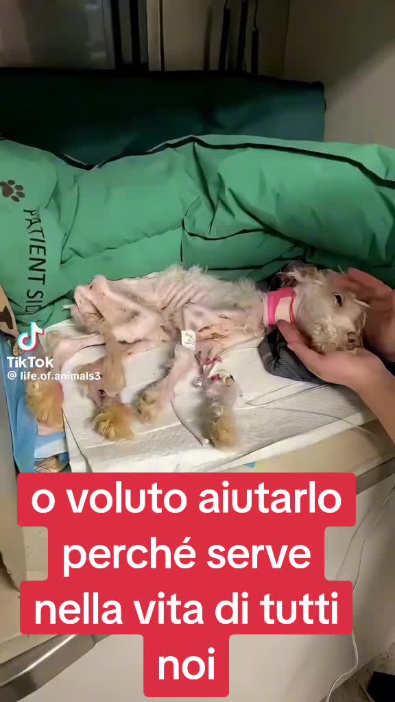 @Francesco Fotia