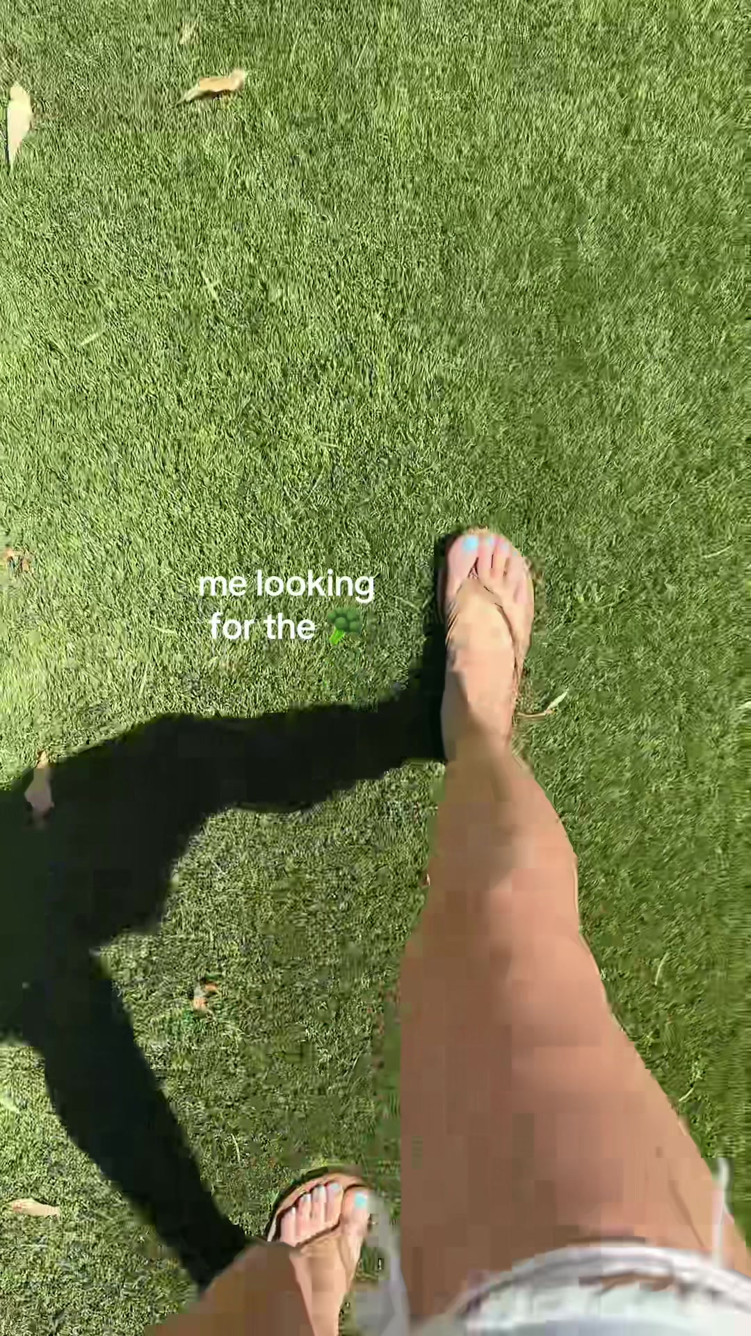 @harleymelts