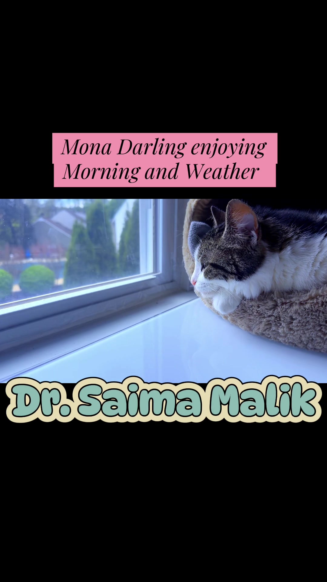 @Dr.Saima.Malik
