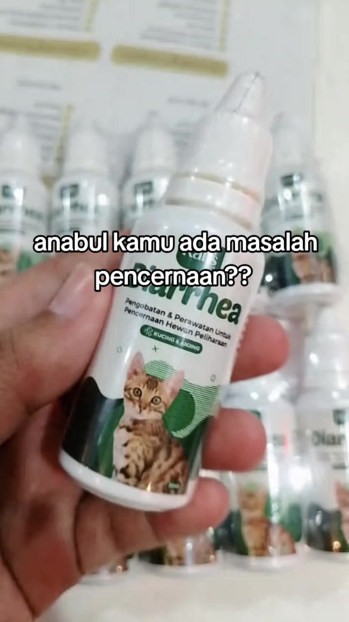 @Grosir Hammielion Petshop