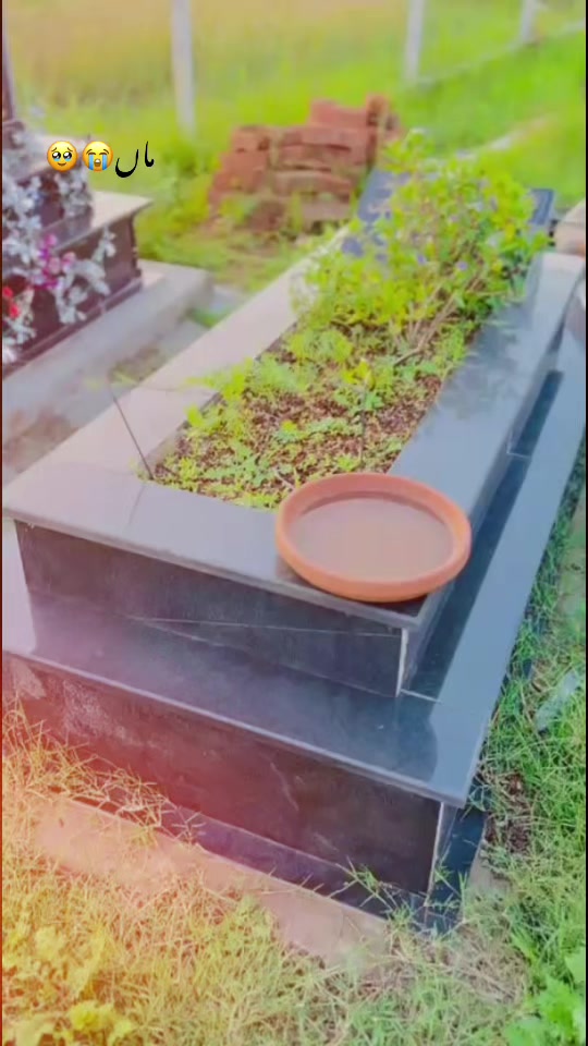 @🍁راجہ حيدر🫀