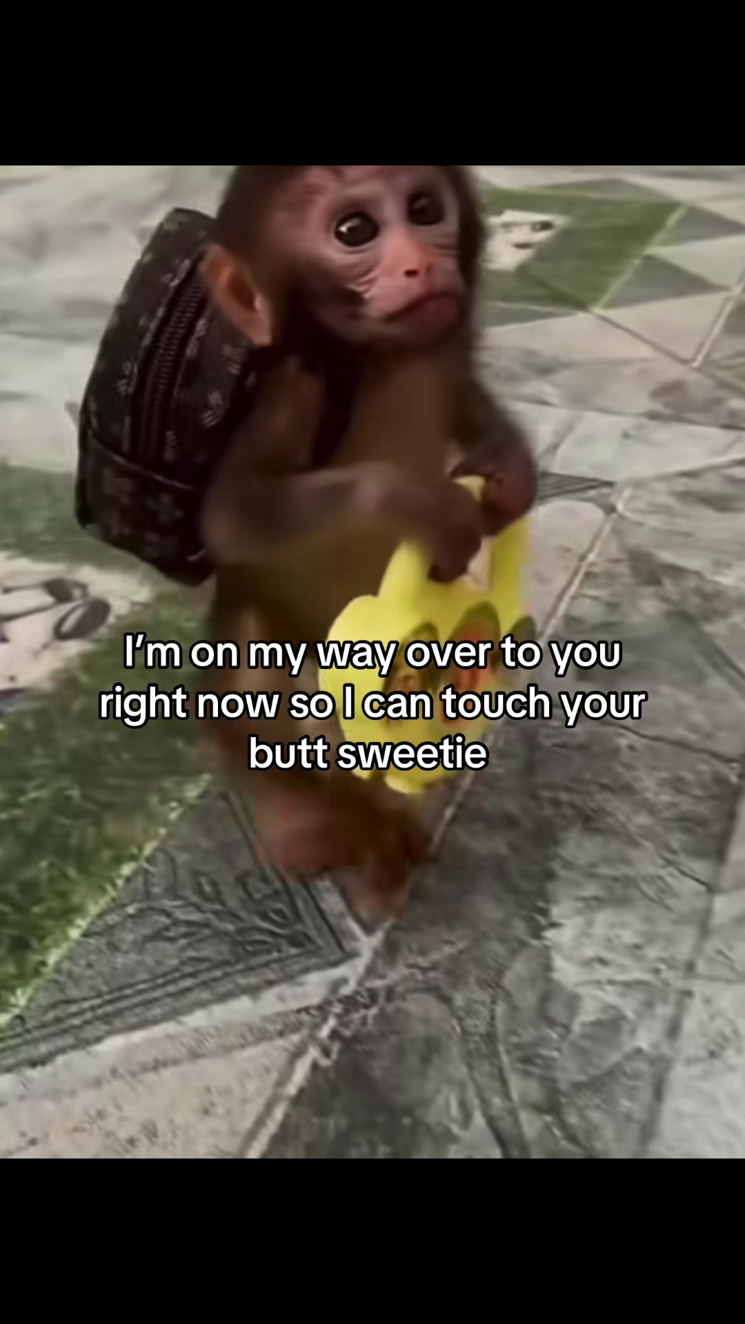 @Rocky