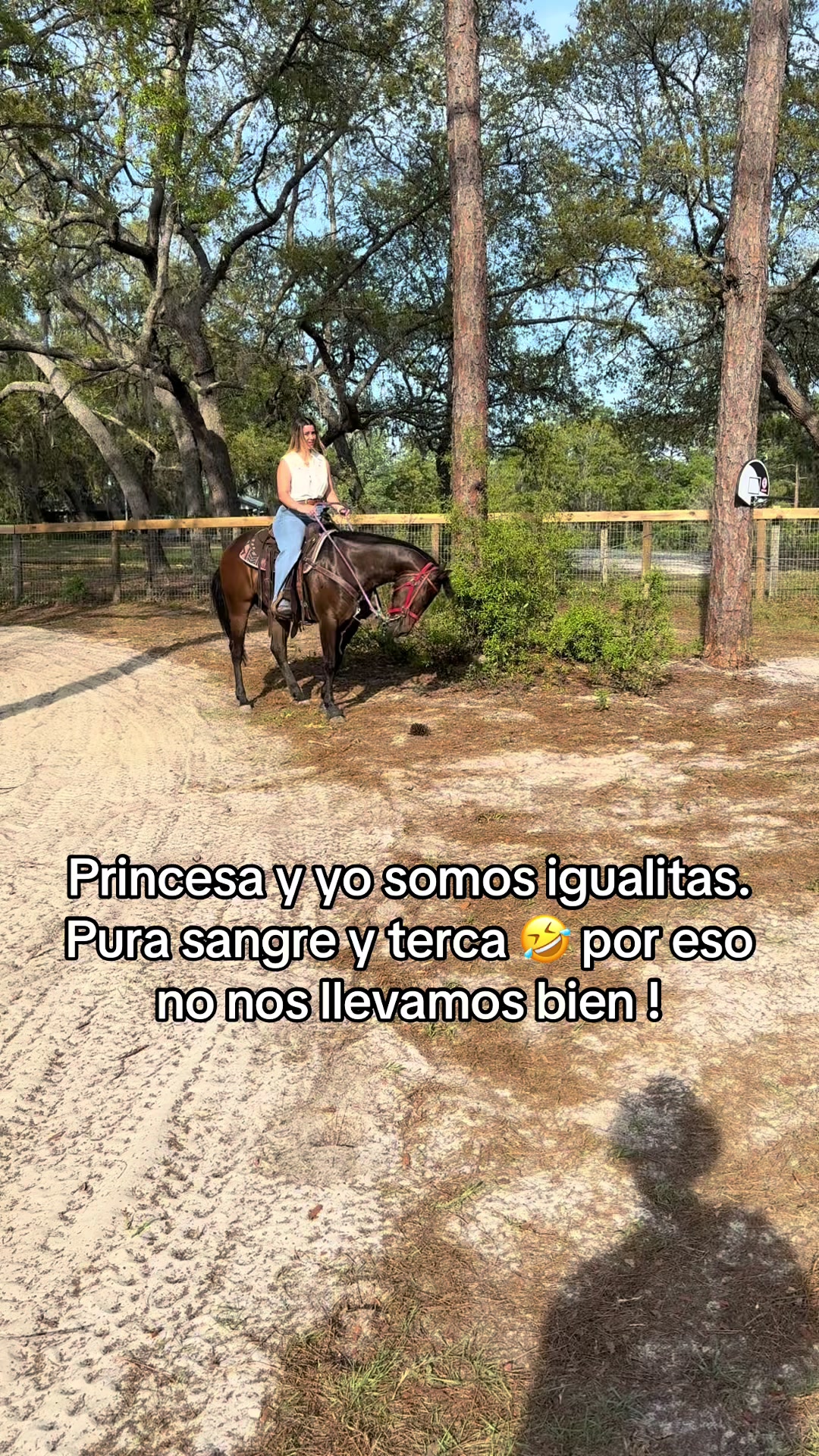 @Gladita 🍒🐎