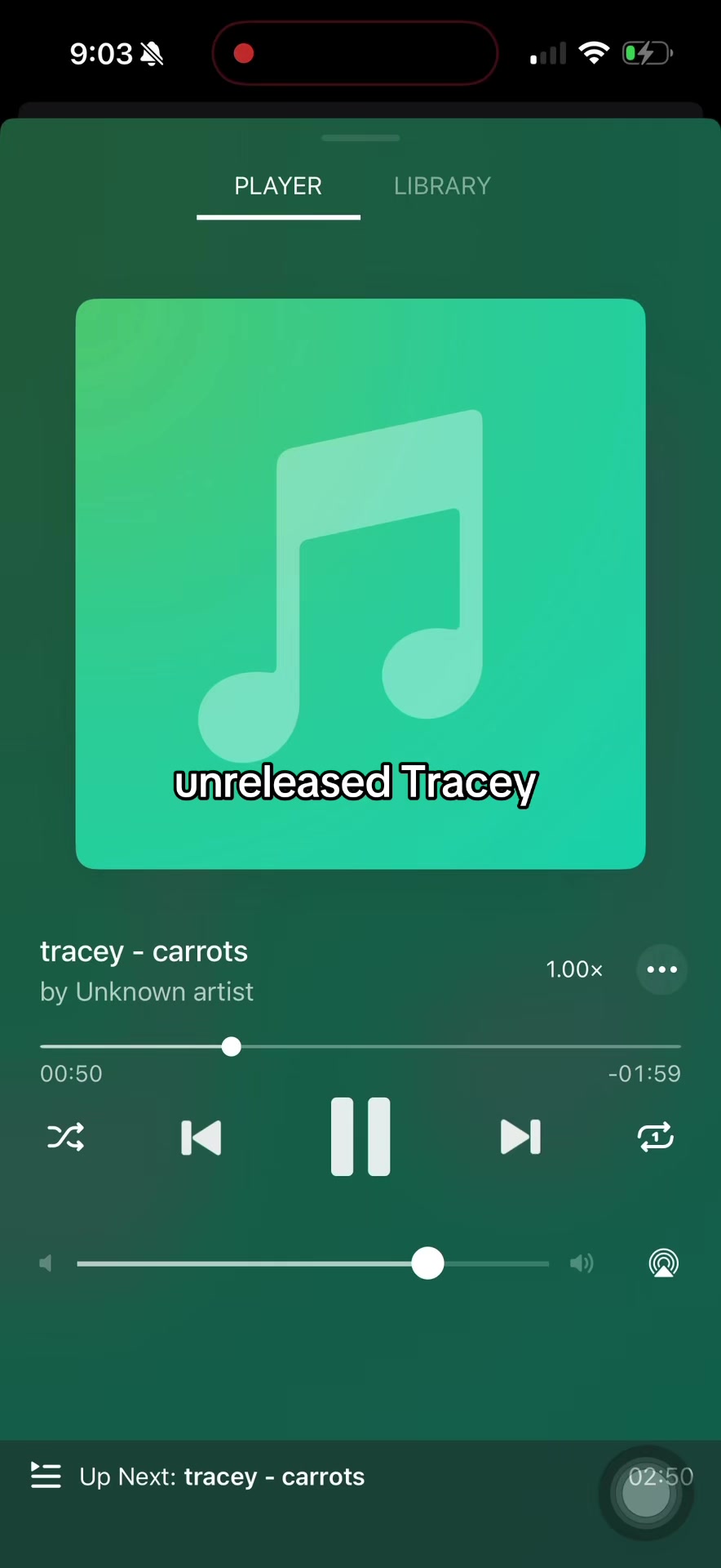 @traceythe1_