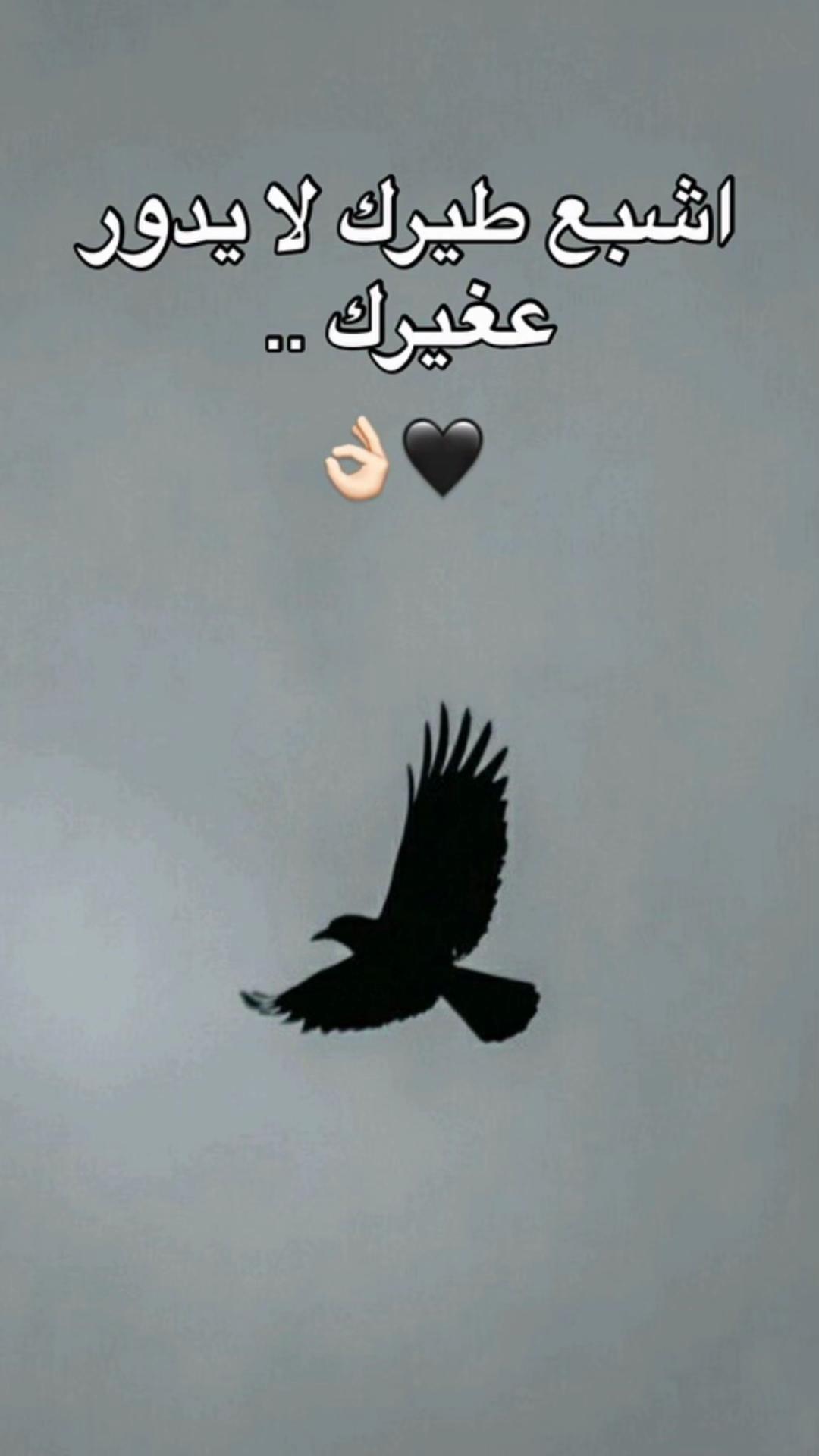 @🇯🇴صفياني ياعين ابوي🇸🇦