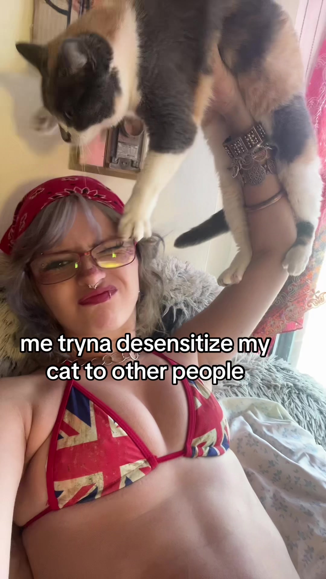 @vivi