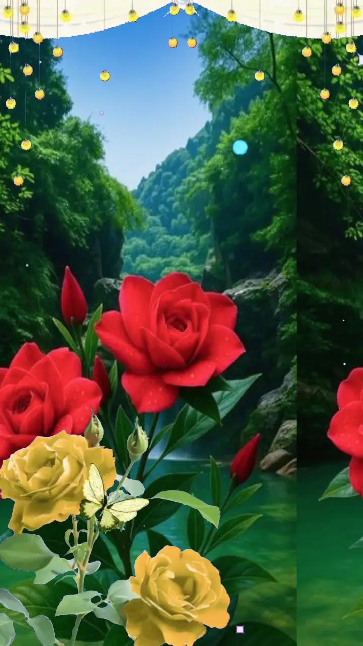 @CorneliaNelly
