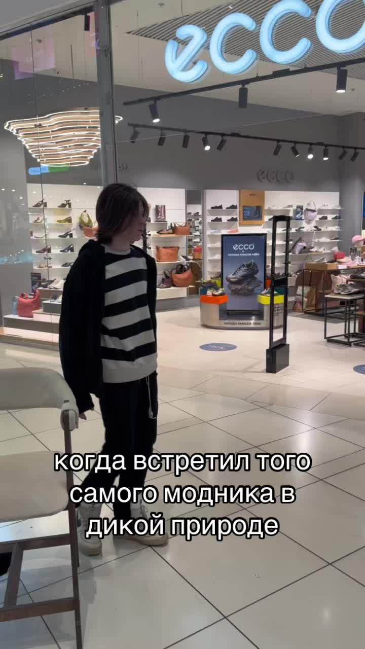 @Mentalcord (&bull;~&bull;)