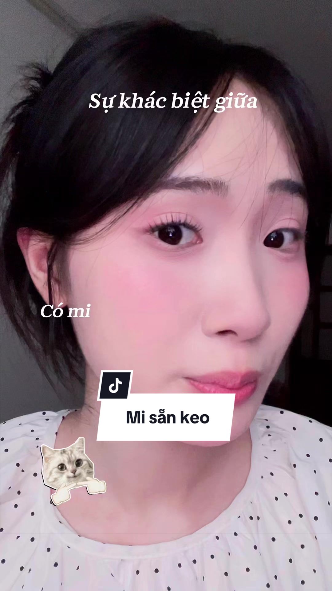 @Phương Tanh n&egrave; 🌷