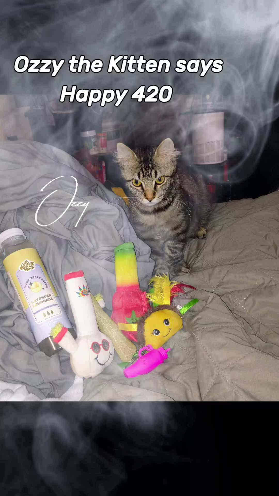 @💚 🍃ProudGen❌er💚🍃420🍃🤘🖤