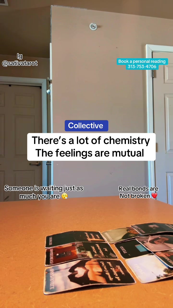 @Intuitivesativa