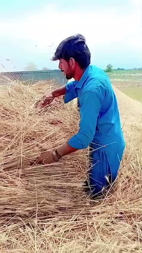 @Qaisar joyia 804