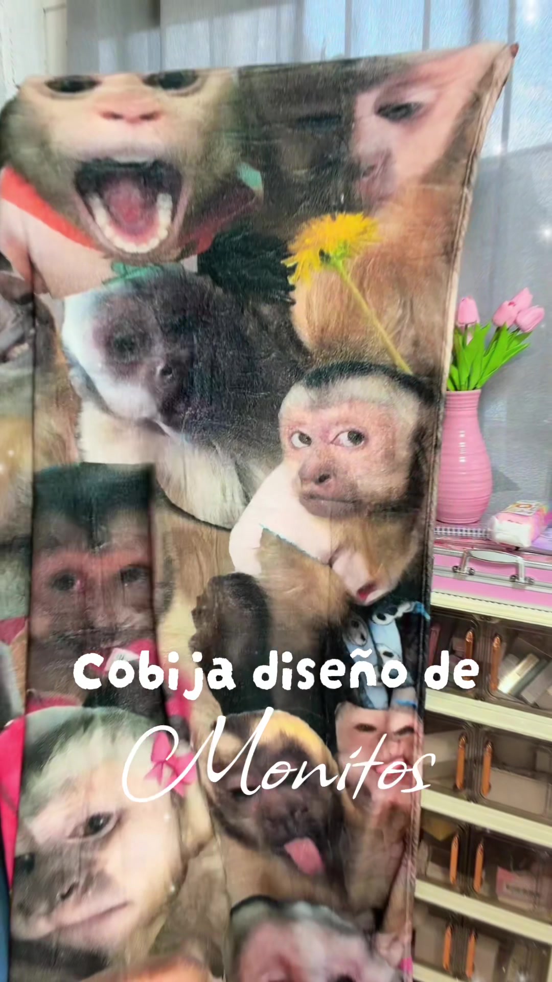 @Sol_Sole 💖