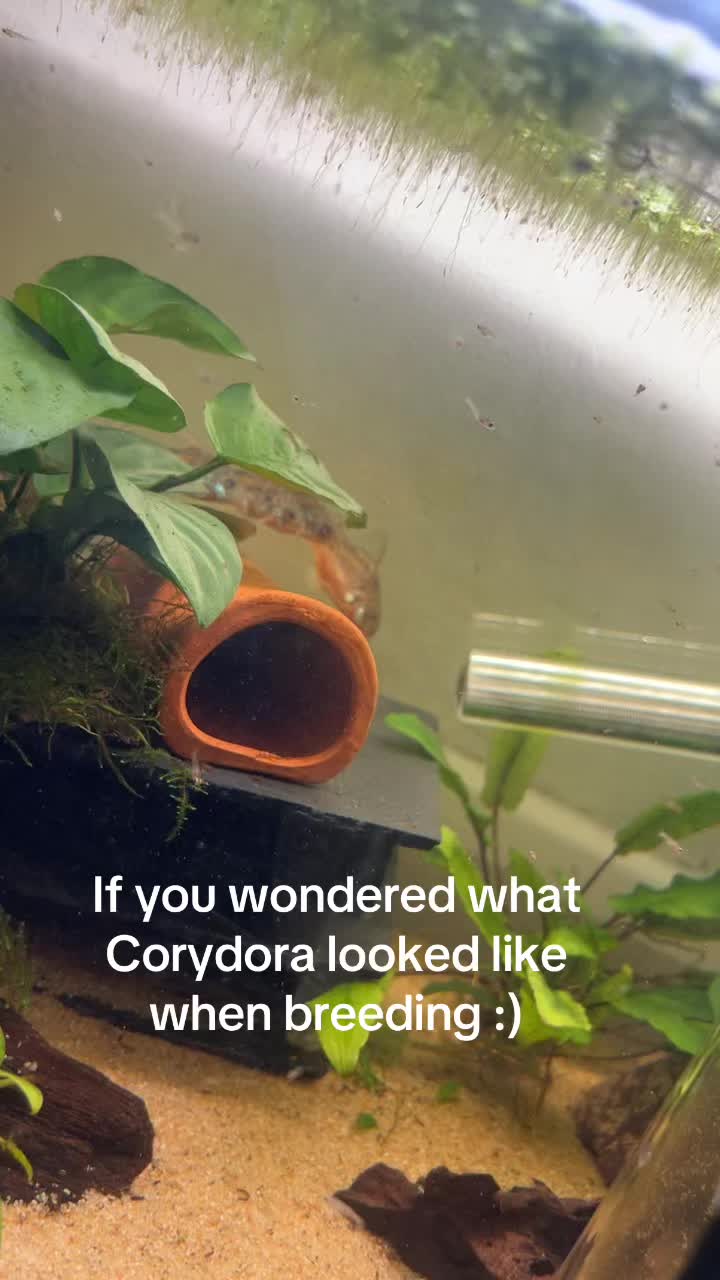 @Huntlikeswetthings