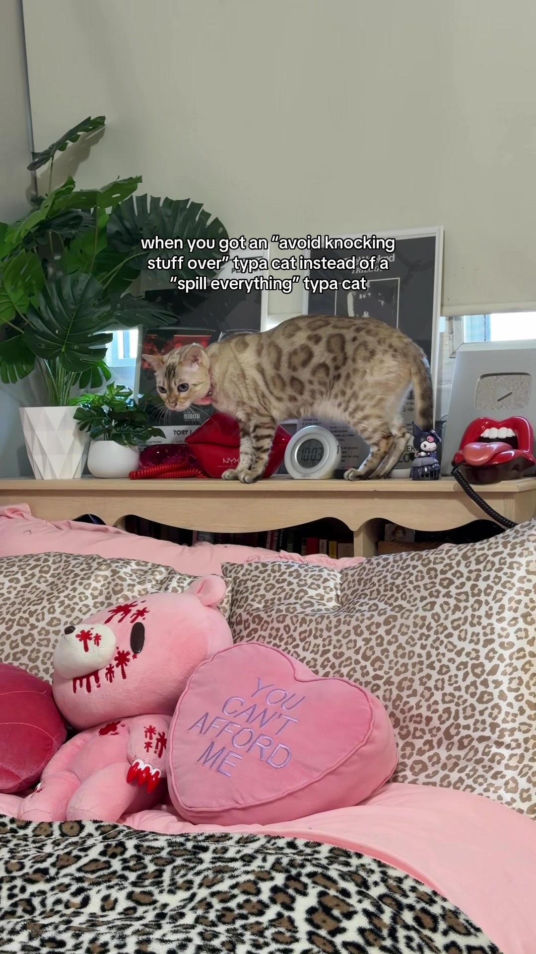 @Mirajane The Bengal🐾