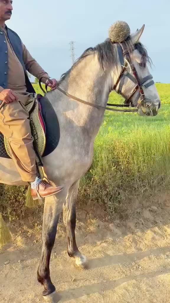 @✨🖤عثمان