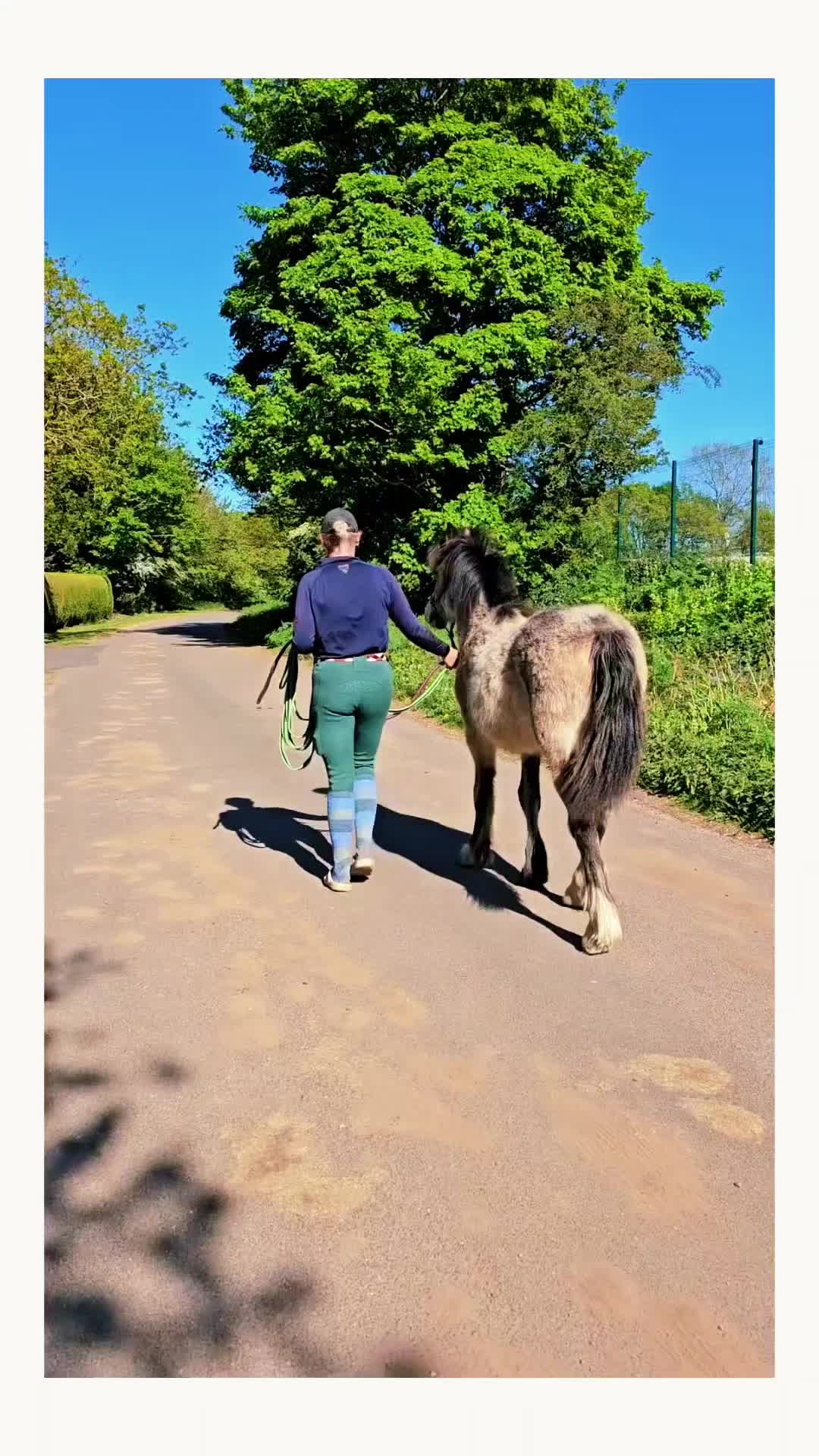 @Chase Gate Equine