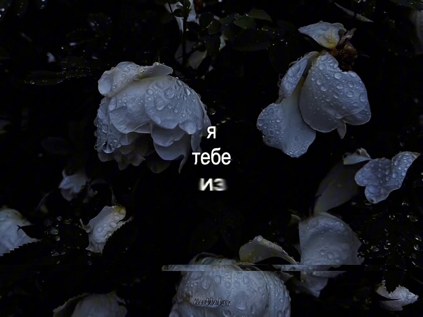 @𝚜𝚘𝚗𝚐 𝚕𝚢𝚛𝚒𝚌𝚜