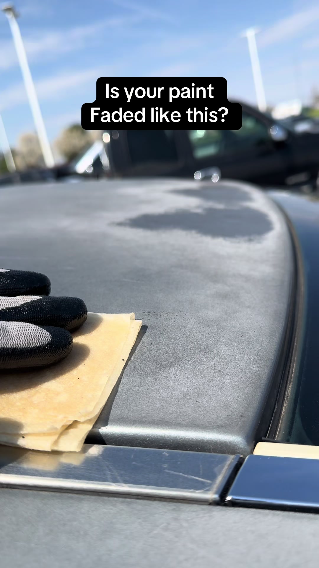 @Shiny Car Stuff