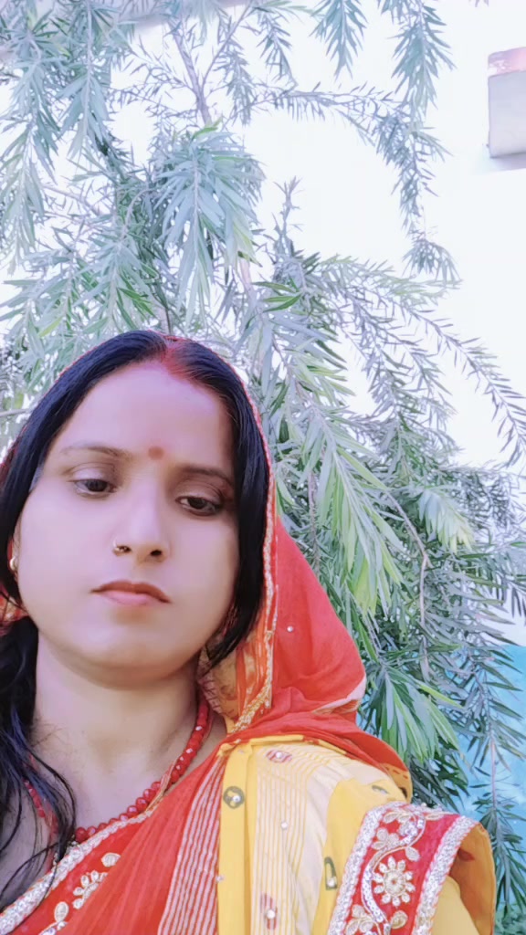 @Mina Shriwasatav