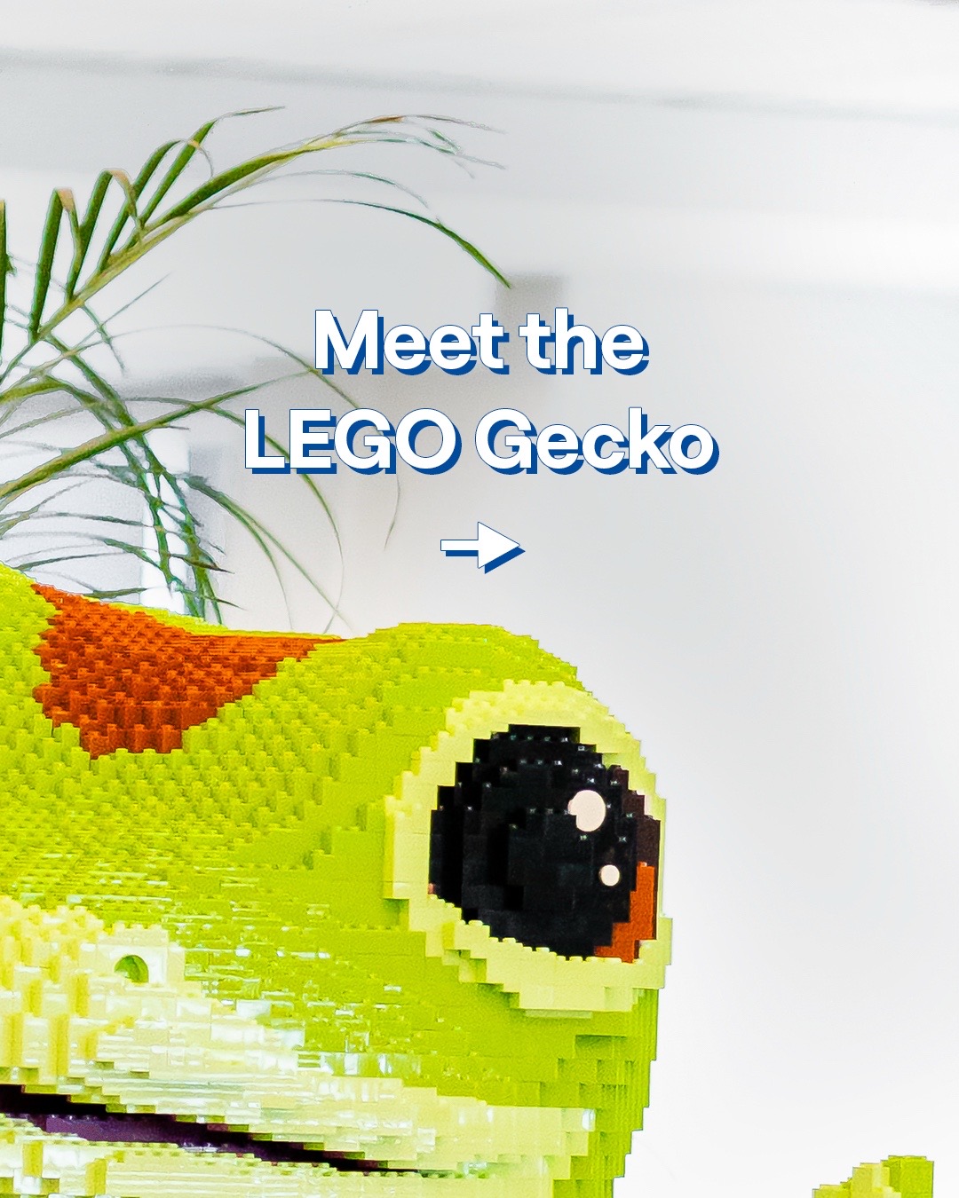 @GEICO