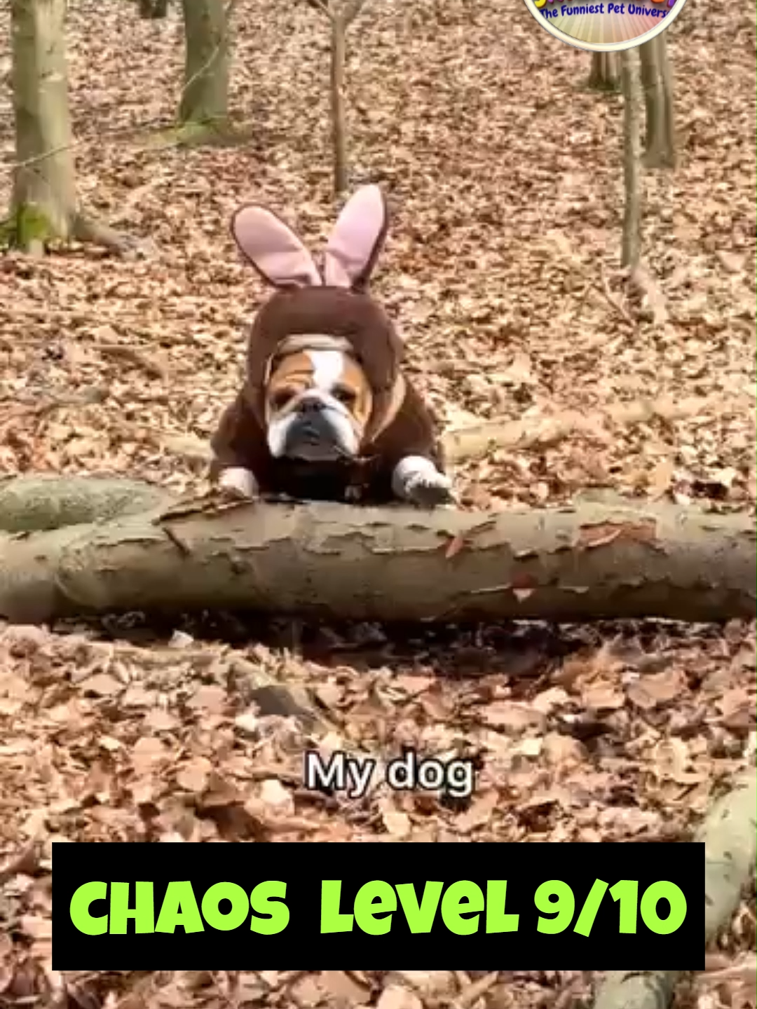 @Snickerpet