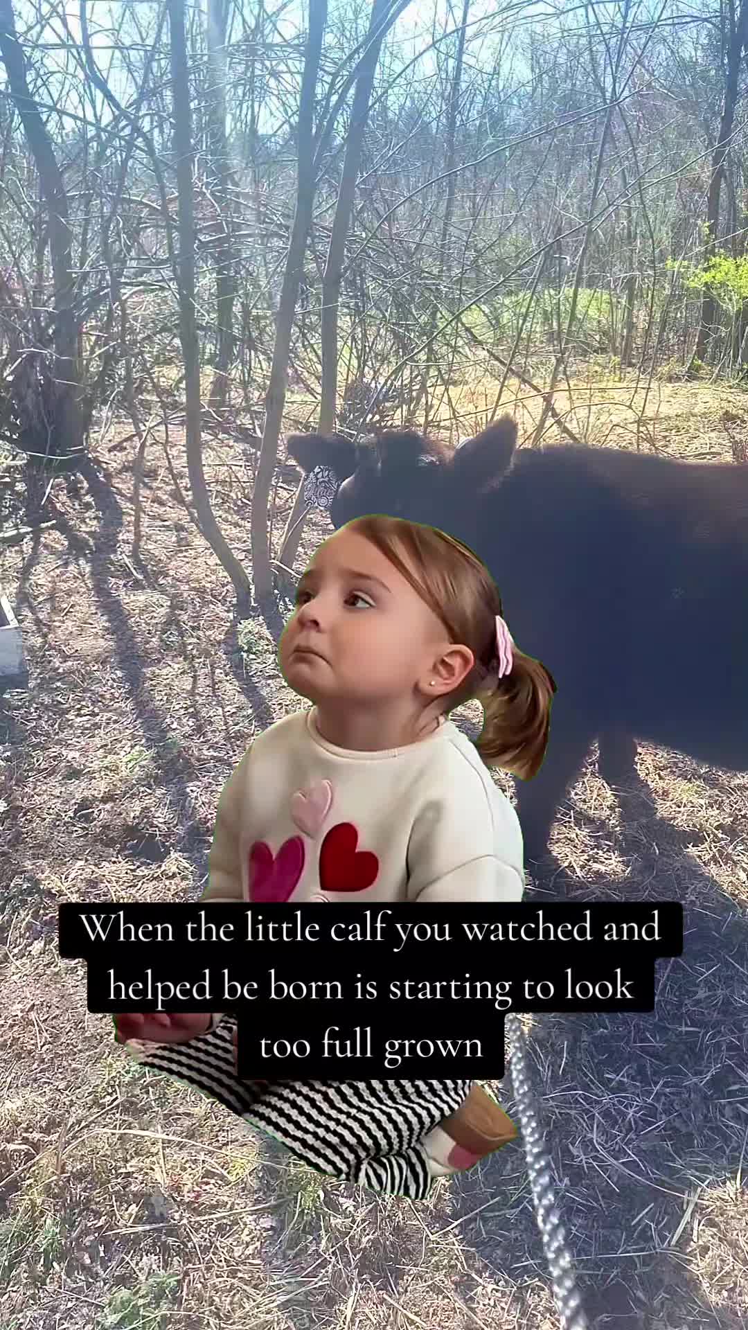 @🤍🌻🐄Alaina🐄🌻🤍