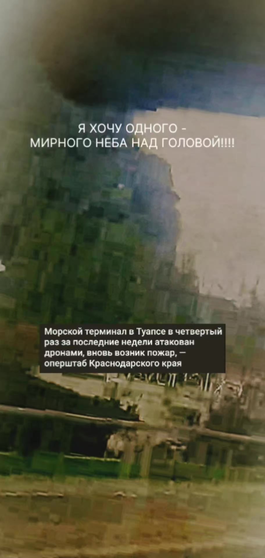 @EGOR_61Region