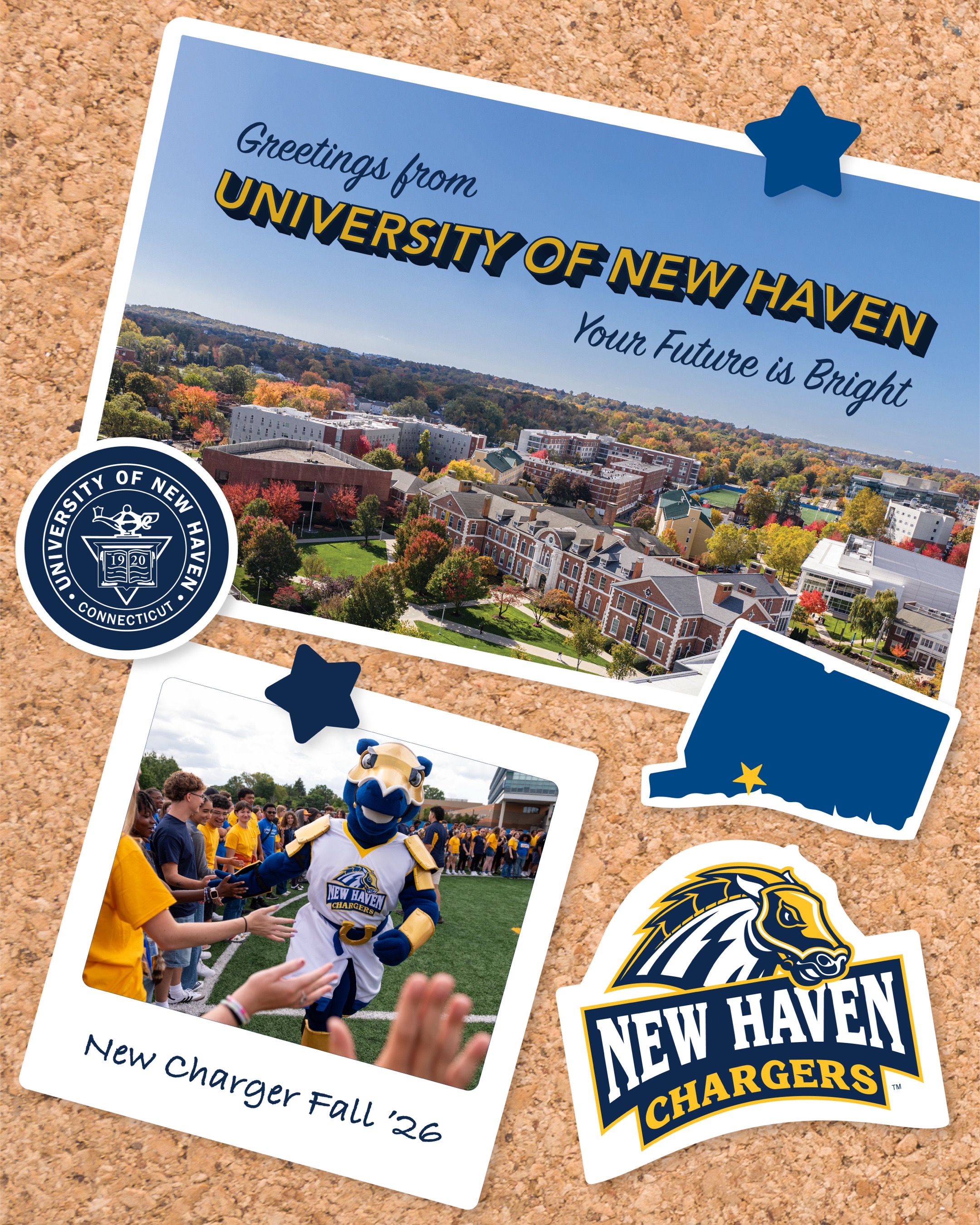 @University of New Haven