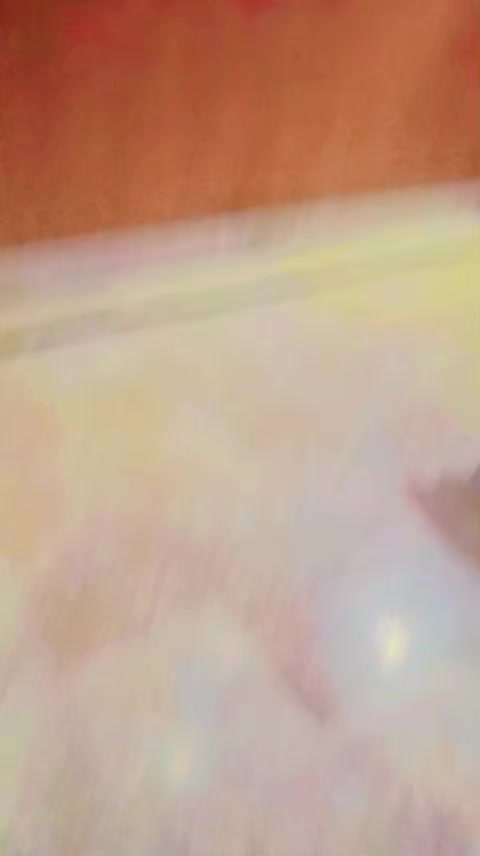 @Zaiلdar Azhar