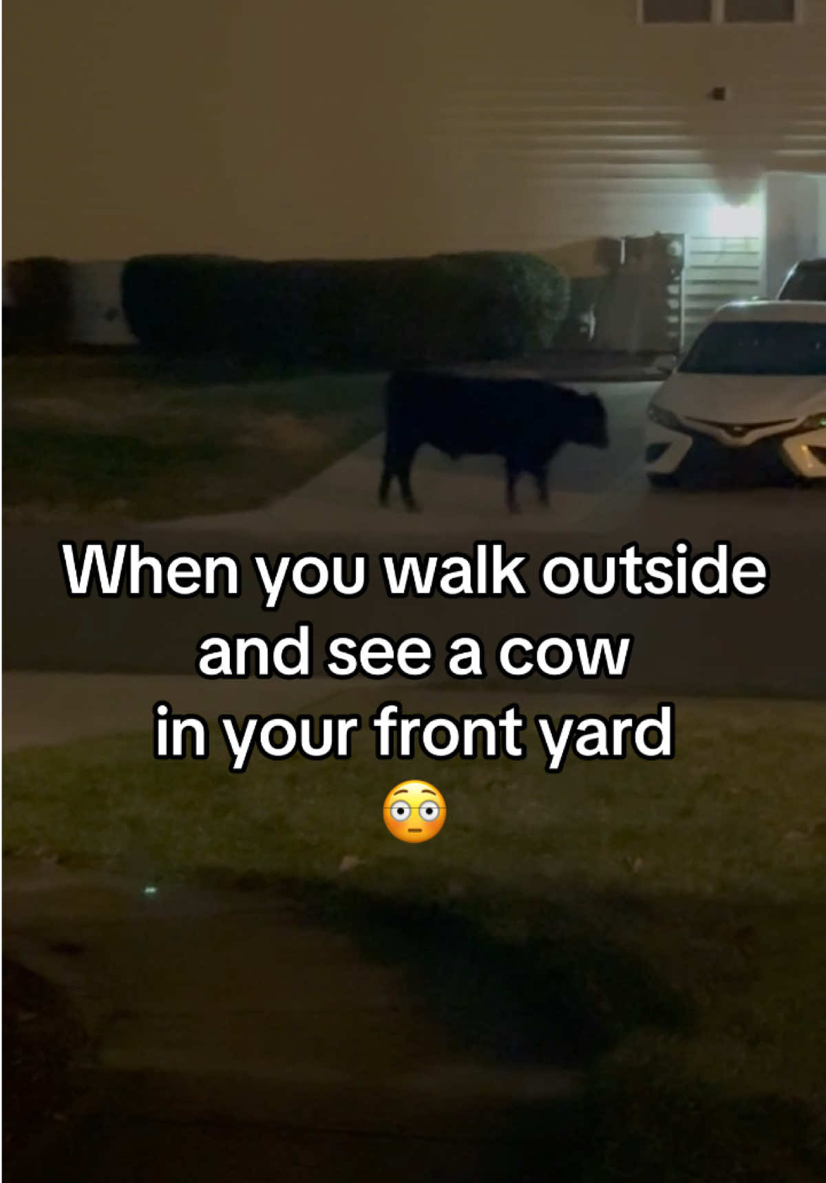 @Eraa