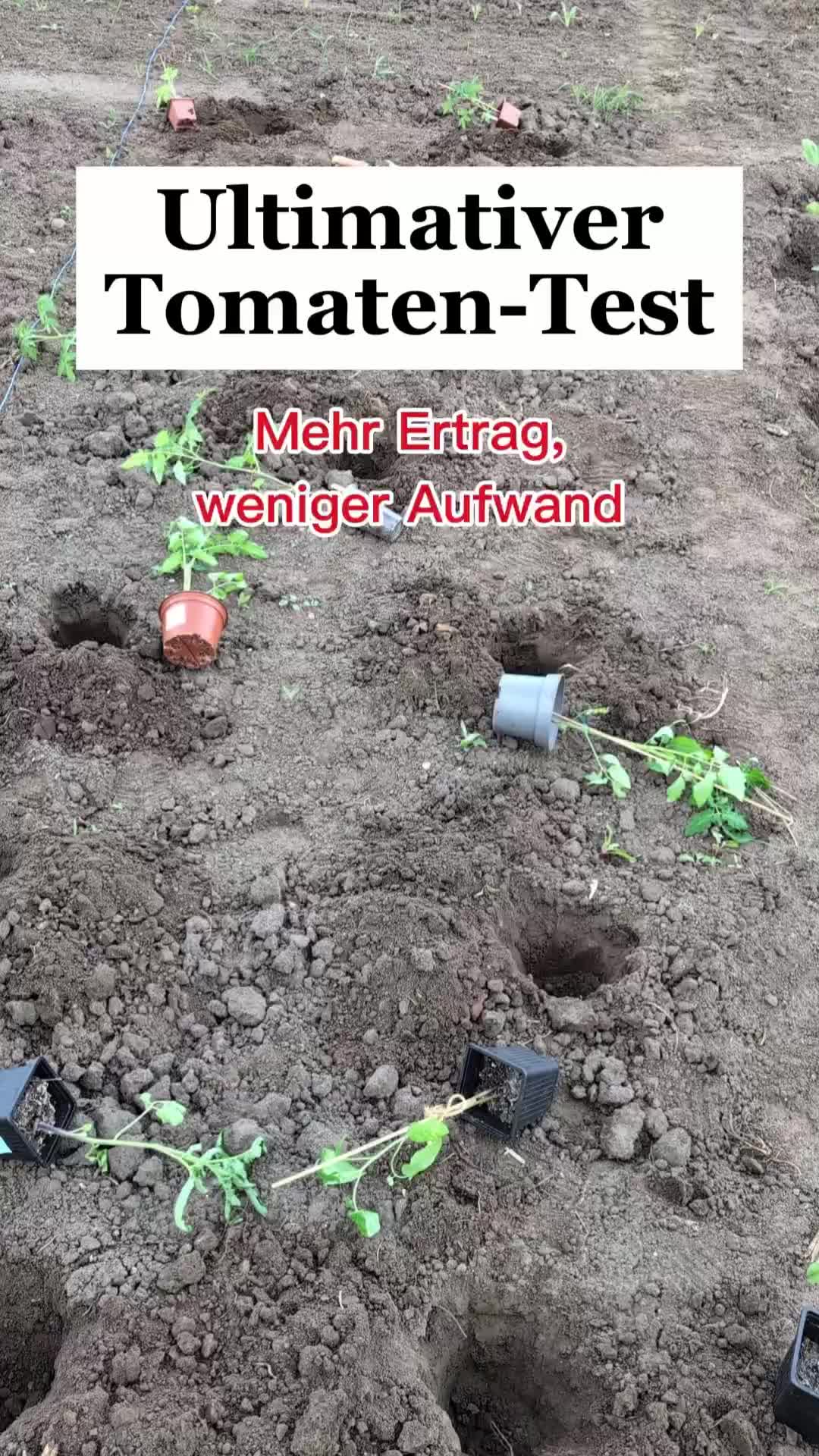 @ErnteExperte