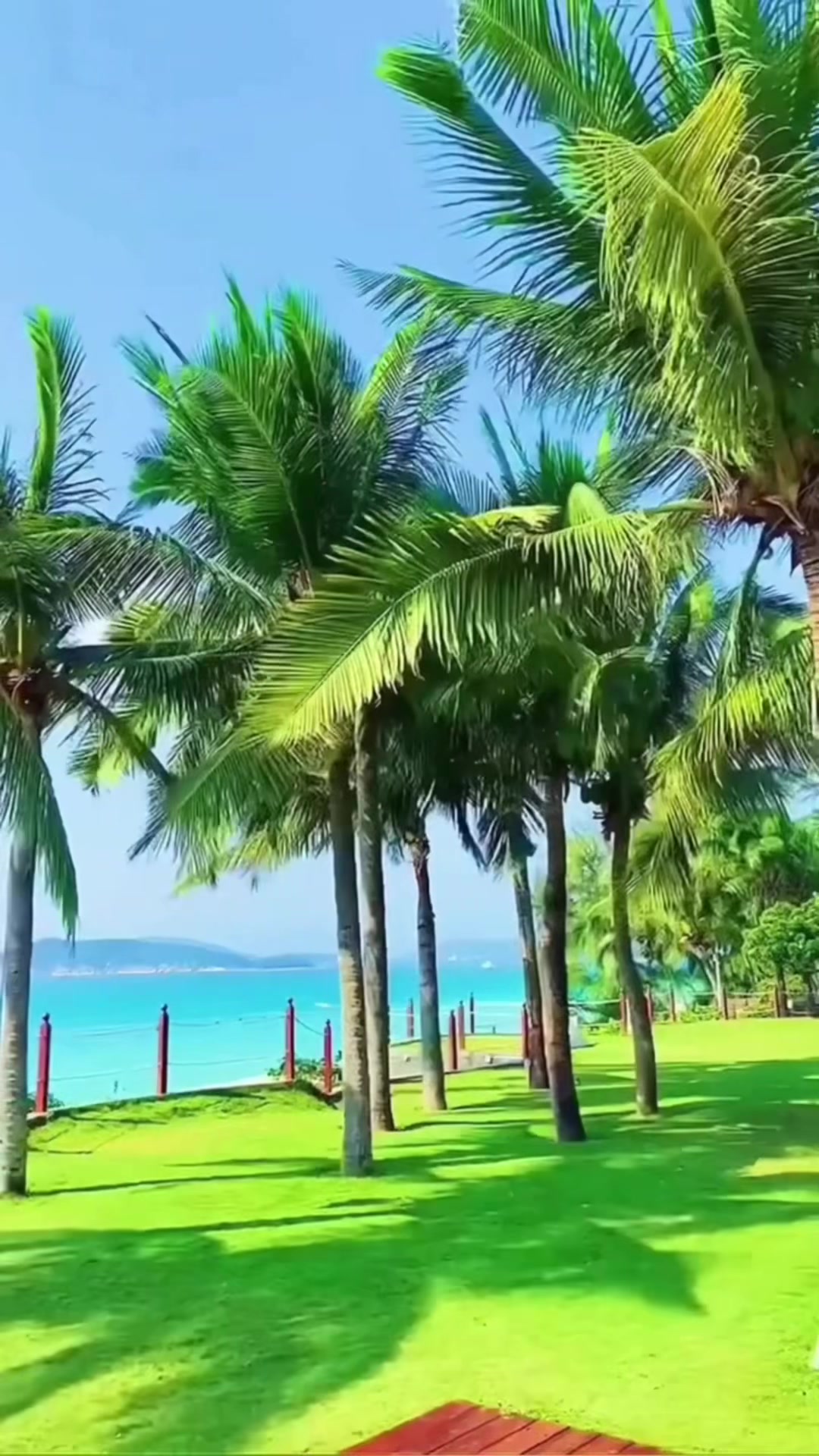 @user82427879914478