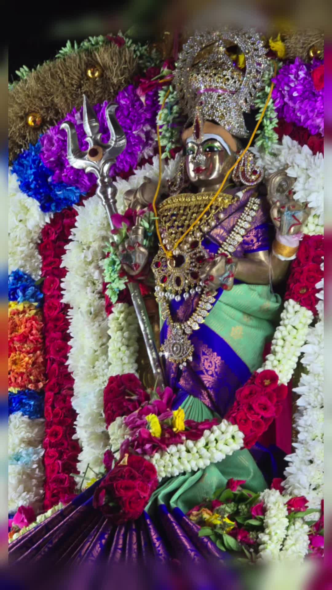 @Shamala 🇸🇬 ஷாமலா