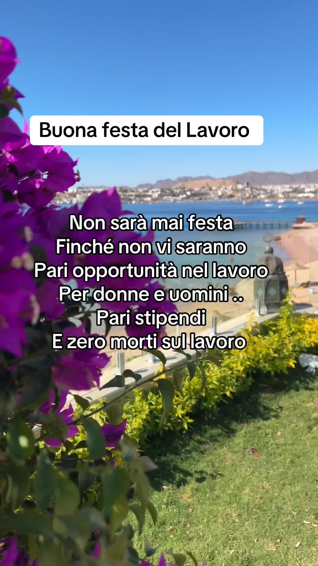 @monicanetworkfacile