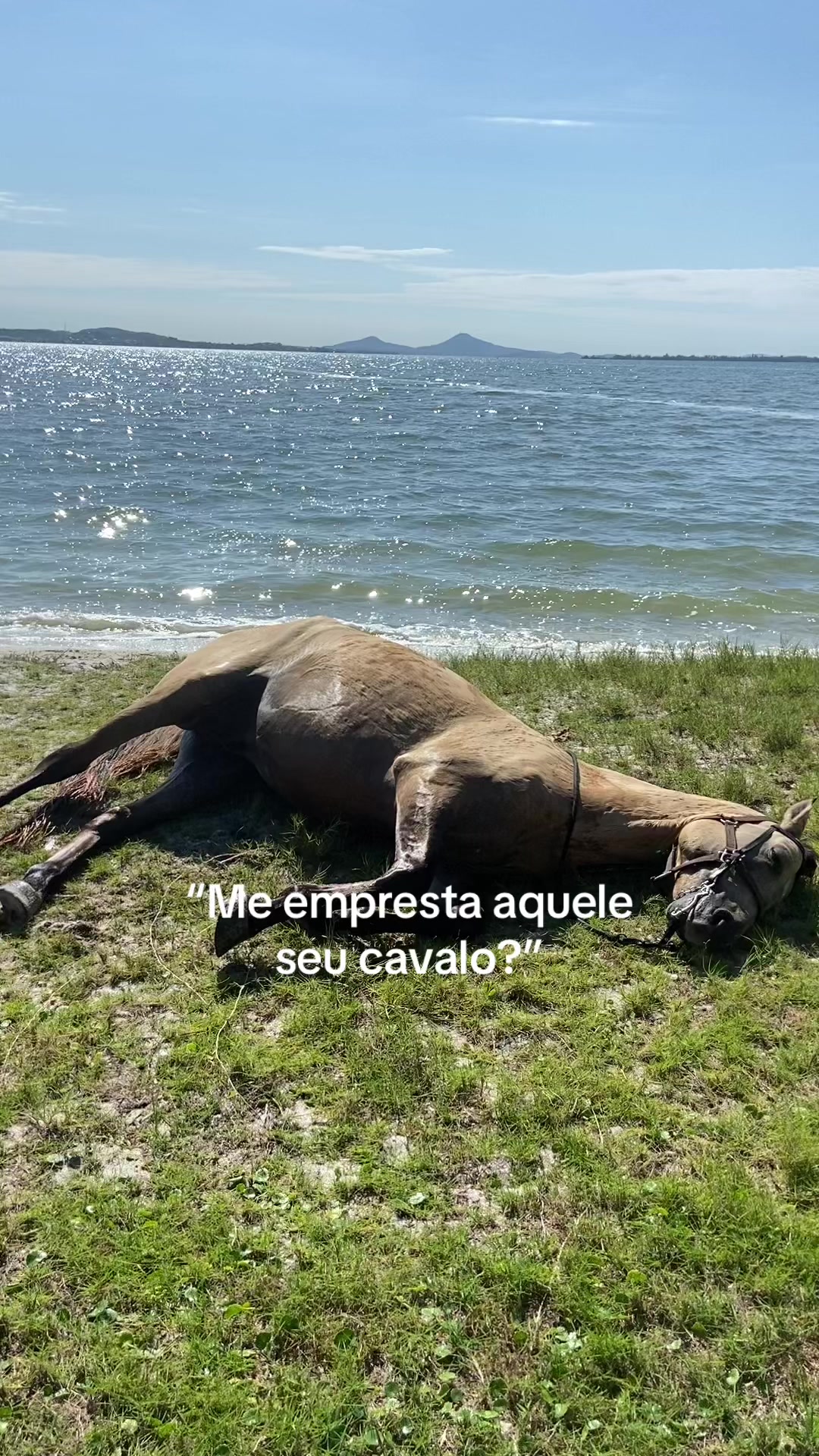@Pᥱ́r᥆ᥣᥲ ᥱ ᥴᥲ&rho;&iota;tᥲ̃᥆