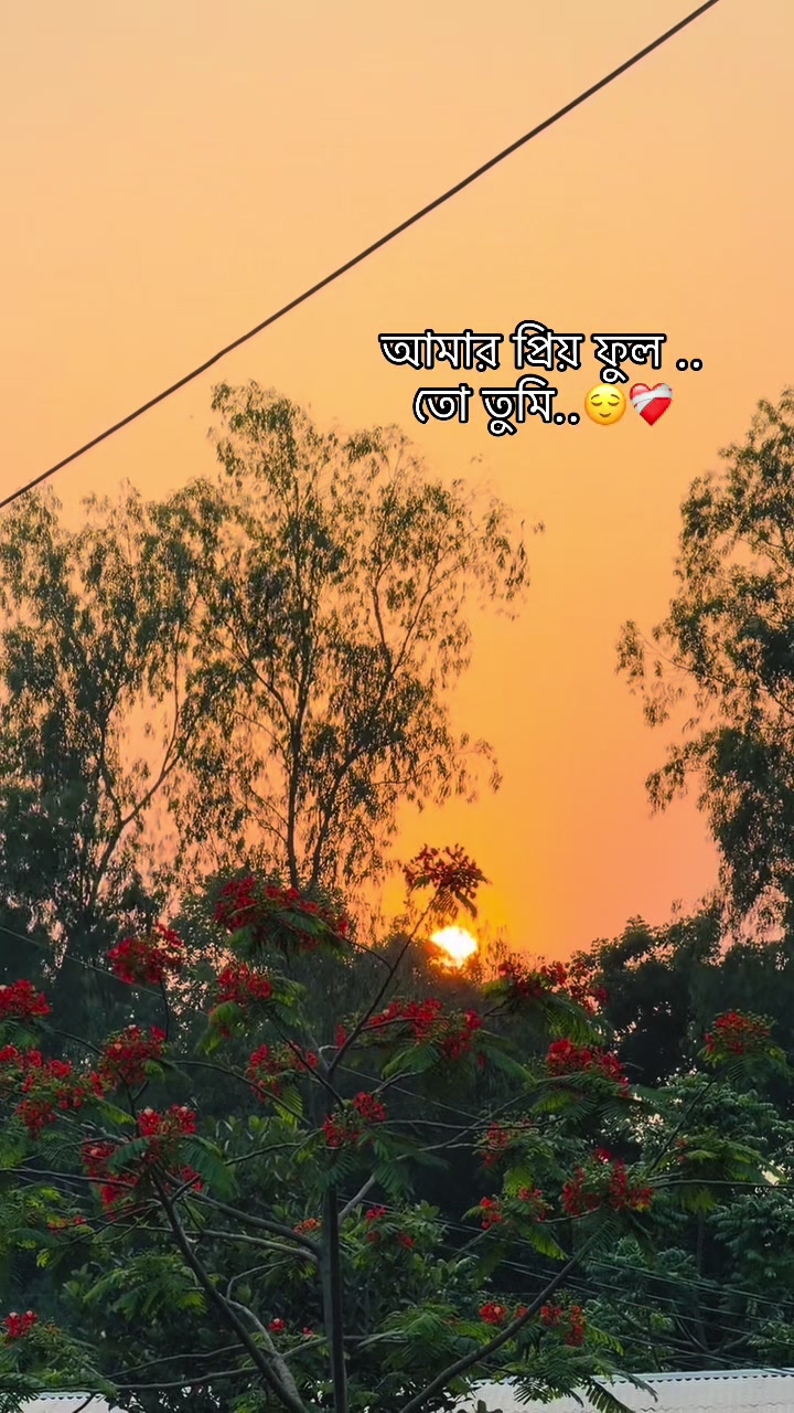 @𝐍𝐢𝐛𝐞𝐞𝐫💫