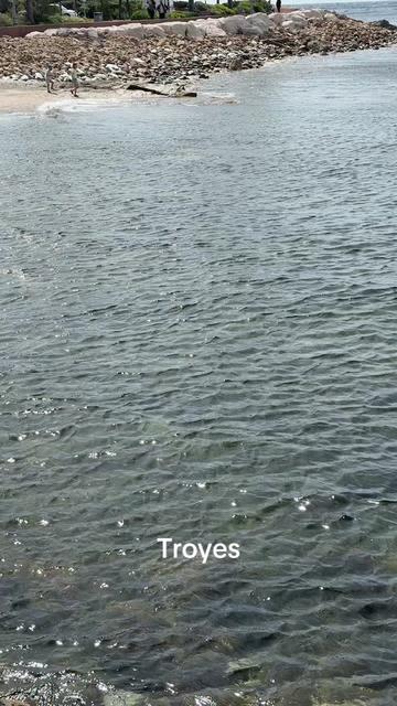 @LE TROYEN 😁