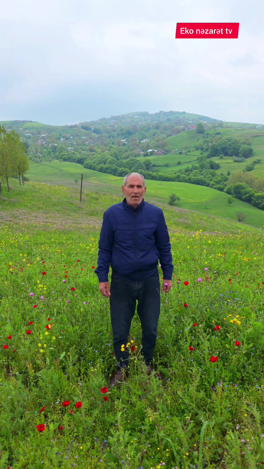 @Adiyev Məhəmməd