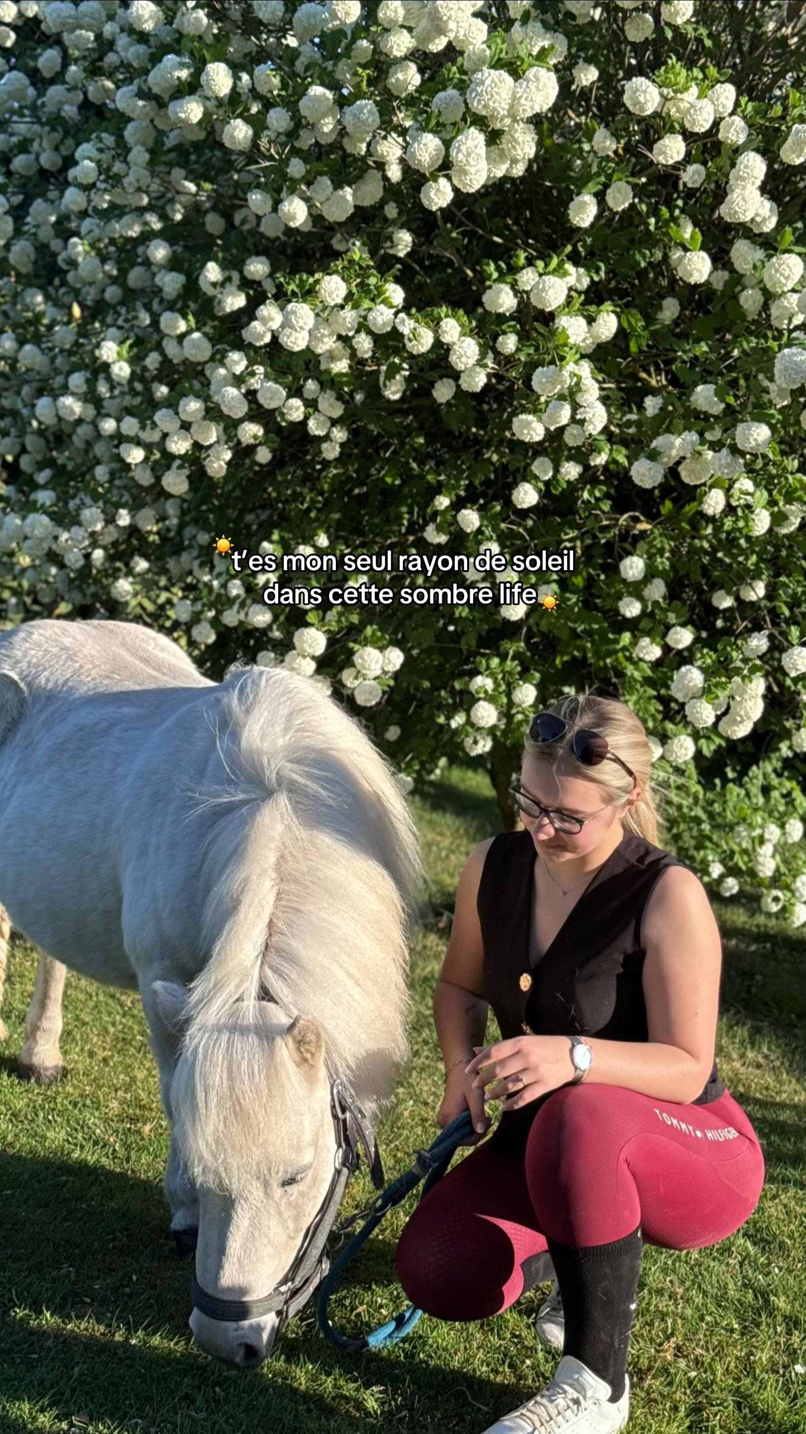 @benjyylepetitponey
