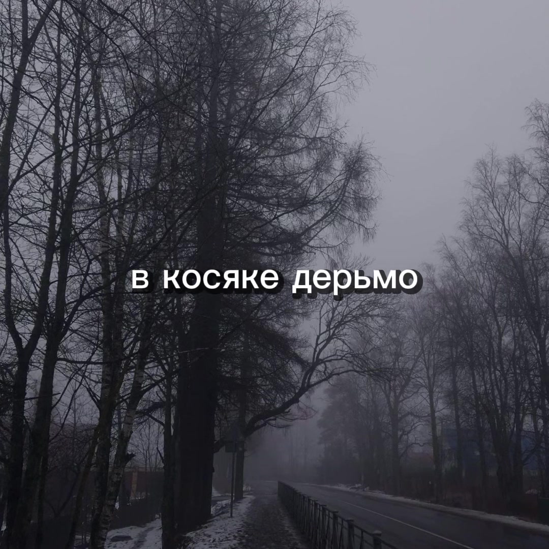 @русая🌿